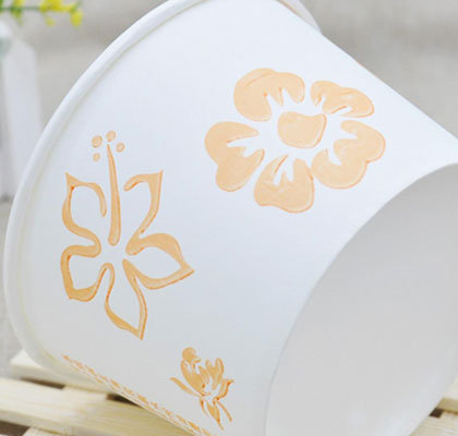 環(huán)保紙張包裝